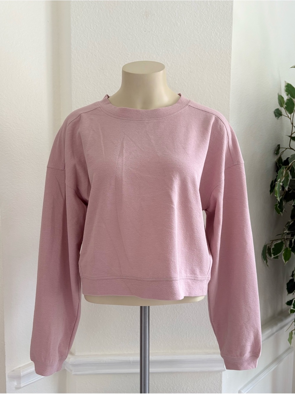 Zyia Cropped Crewneck Sweatshirt in Dusty Pink